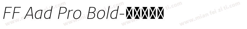 FF Aad Pro Bold字体转换